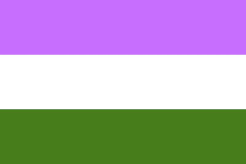 La bandera queer tiene tres franjas de color violeta, blanco y verde.