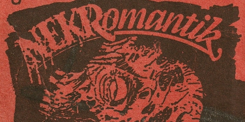 En la publicidad del estreno de la película gore Nekromantik puede adivinarse la temática sangrienta.