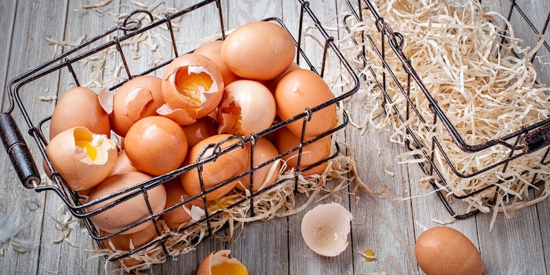 Dichos como "no debes guardar todos los huevos en la misma canasta" son ejemplos de paremia.
