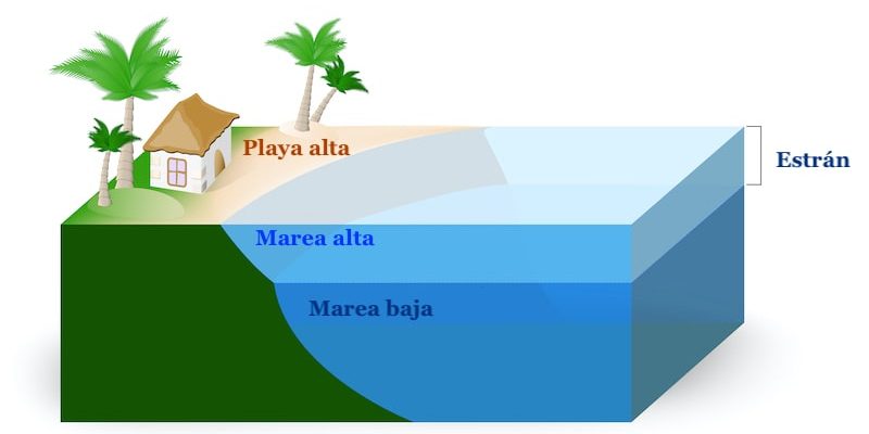 Un diagrama muestra la diferencia entre las mareas.