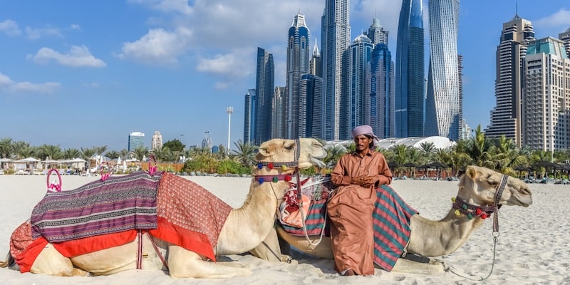 Un beduino descansa con su camello sobre la arena mientras se ven tras él los rascacielos de Dubai.