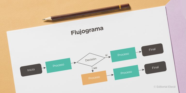 Qué Tipo De Textos Son El Flujograma Y La Infografía