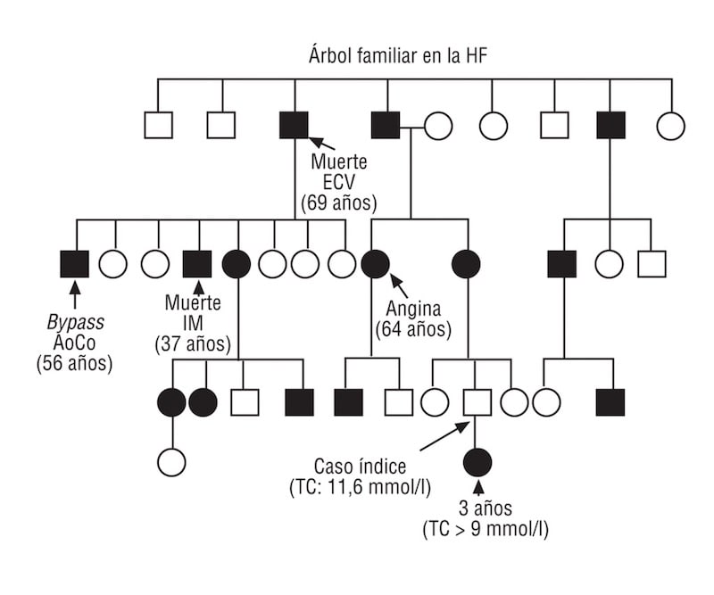 El familiograma muestra los niveles altos de colesterol en tres generaciones familiares.