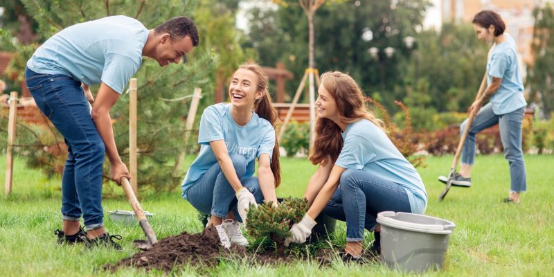 Jovenes voluntarios plantando arbustos