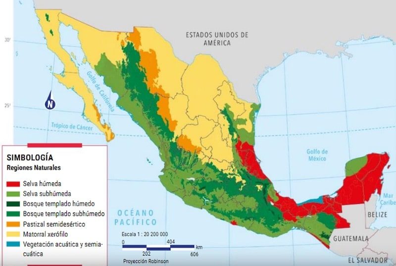 Las regiones naturales de México se distribuyen por todo el territorio.
