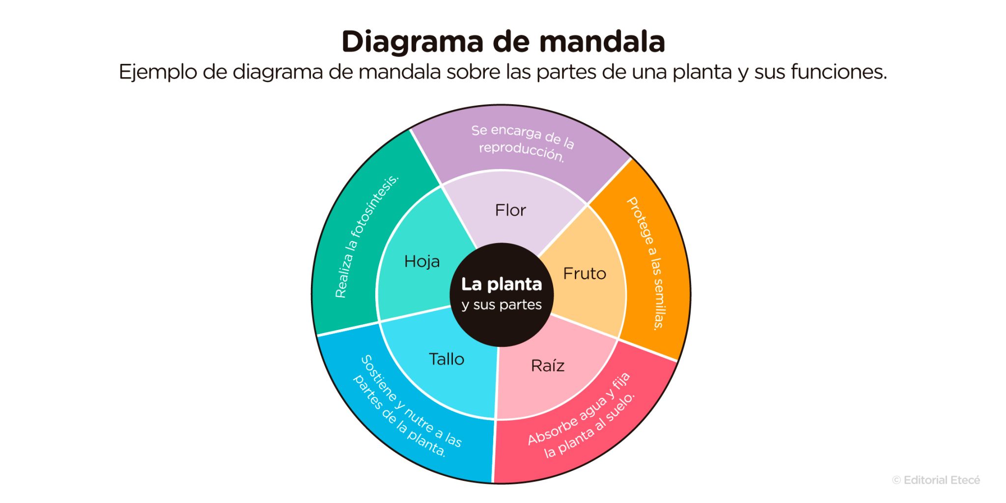 Organizadores Gráficos Qué Son Tipos Y Para Qué Sirven