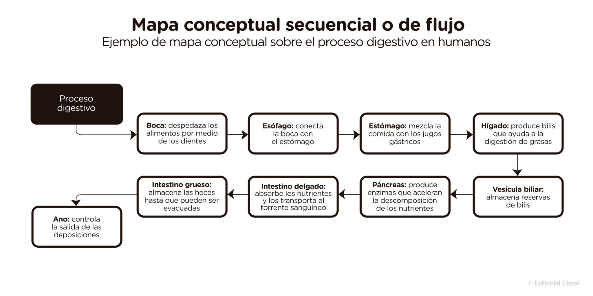 mapa conceitual - Explicado.net