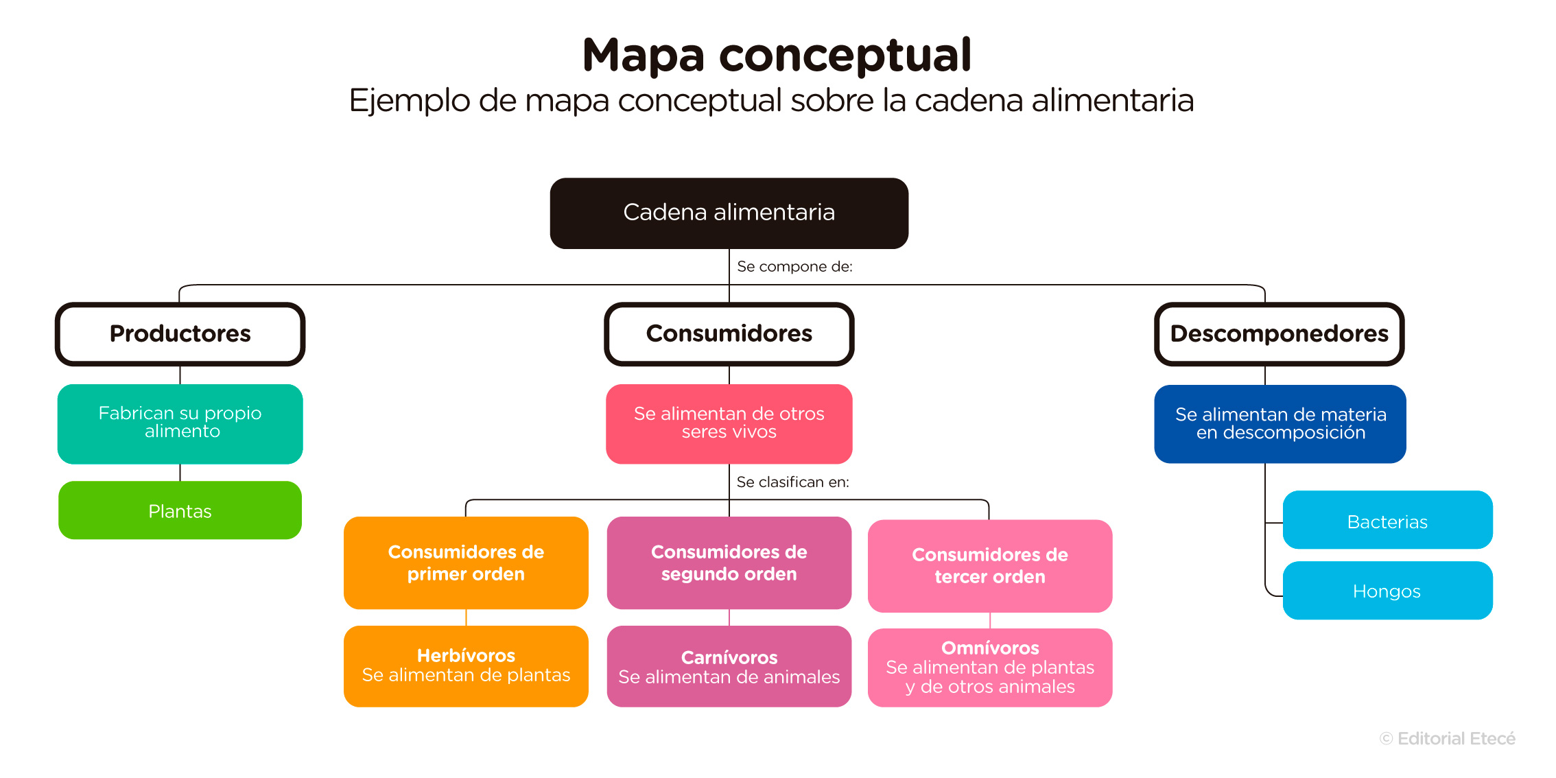 Mapa Conceptual Qué Es Cómo Hacer Uno Y Ejemplos 2984