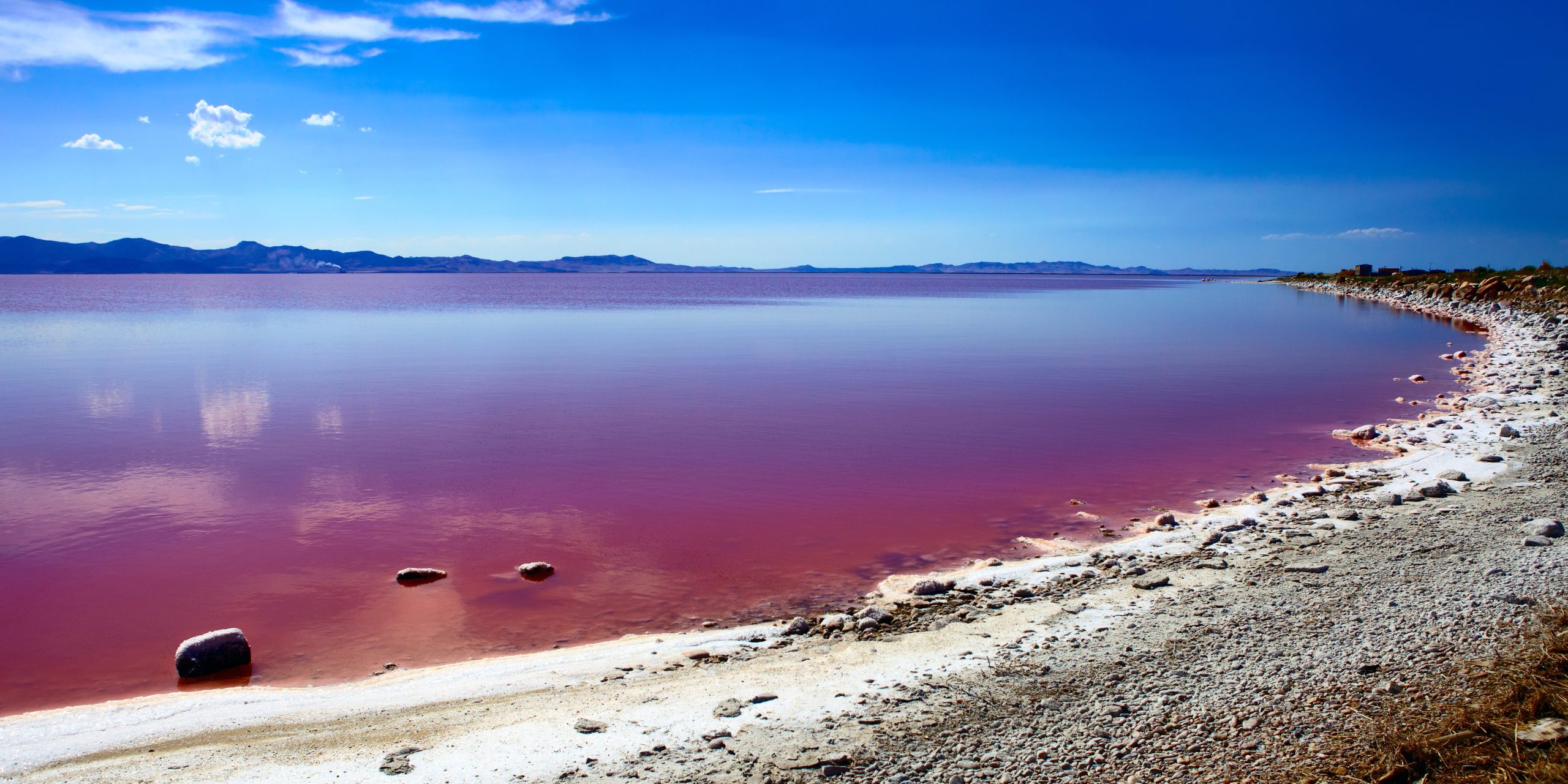 Lago con aguas rosadas