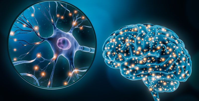 Ilustración de conexiones neuronales.