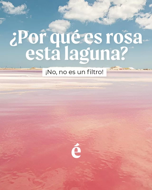 La laguna rosa de Yucatán atrae a fotógrafos y turistas por su singular color y el contraste que se genera entre el cielo y las montañas de sal blanca. 

Más allá de su belleza paisajística, la laguna rosa es importante para la economía de la región, ya que se la utiliza para la producción de sal. 

Esta actividad es una fuente importante de empleo para la población local: muchos habitantes de los pueblos cercanos trabajan en las lagunas y salinas, ya sea en la recolección o en el procesamiento y empaquetado de la sal.

Entre los meses de abril y agosto, además, se suma a este increíble paisaje el flamenco rosa del Caribe, que se acerca a la región para reproducirse.

¿Conocías este paisaje?